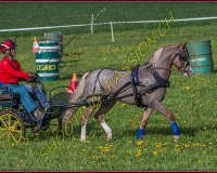 1POSIEUX 0246